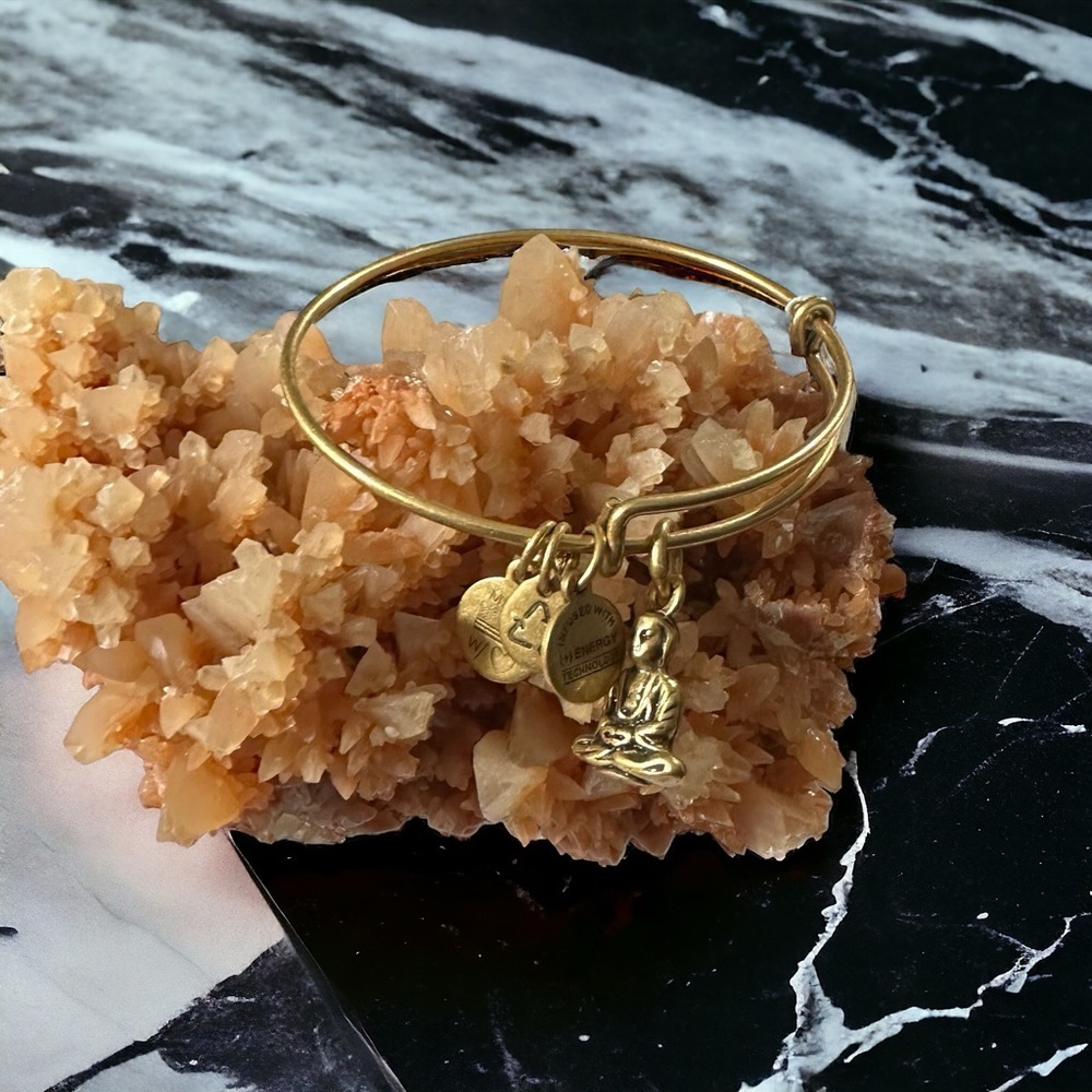 Signed Alex & Ani Gold Tone 4 Charms Buddha Adjustable Bangle Bracelet 7” NWT